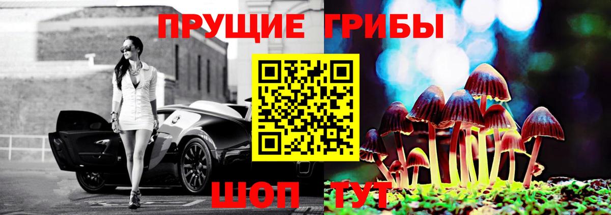 Псилоцибиновые грибы GOLDEN TEACHER  Псилоцибиновые грибы MAGIC MUSHROOMS  Курчалой  Вход с VPN 